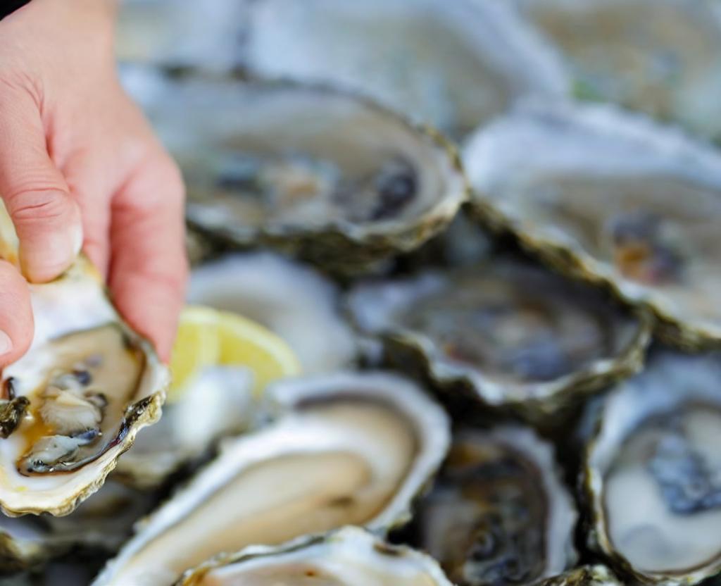 National Oyster Day | August 5