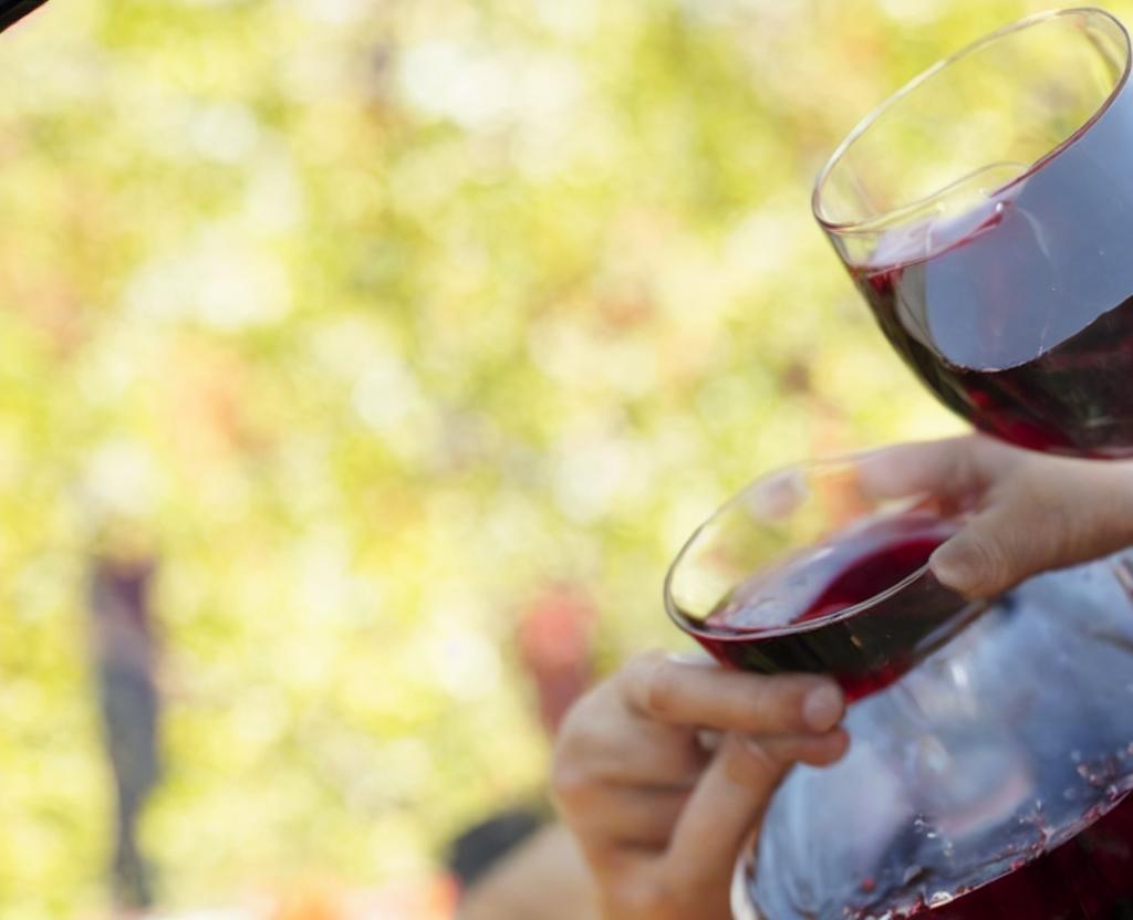 National Red Wine Day | August 28