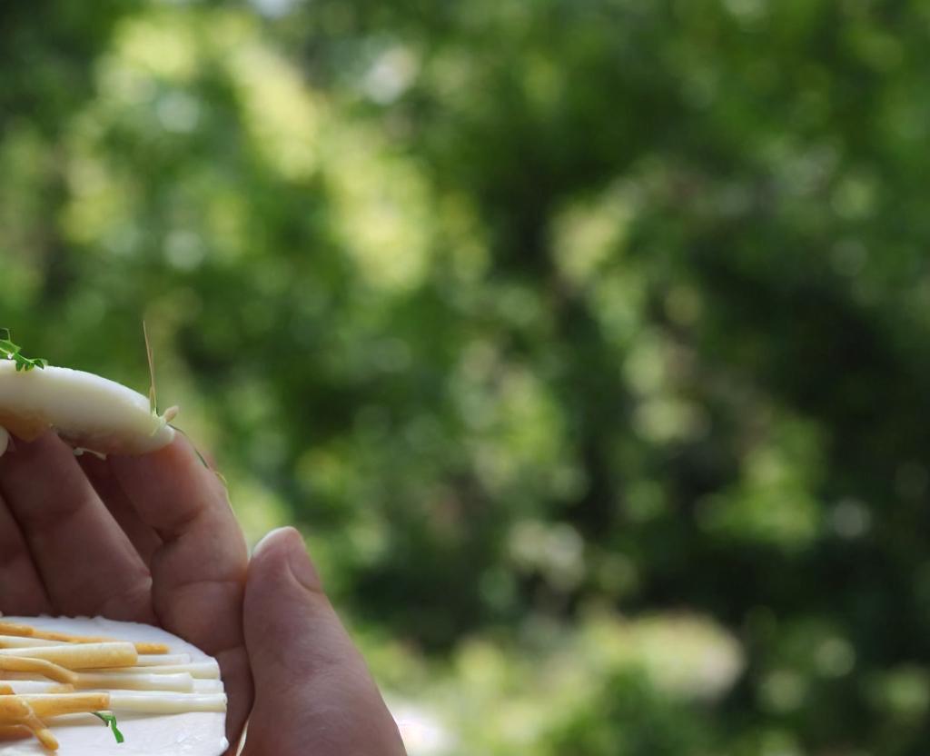 National String Cheese Day | September 20