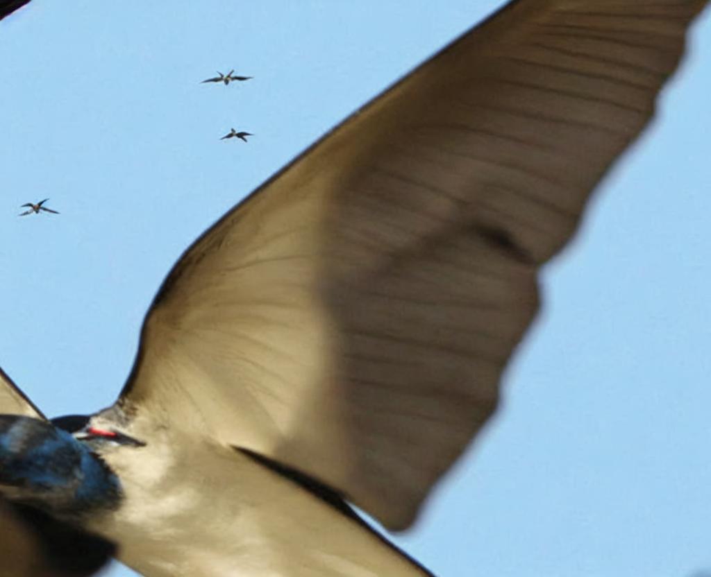 Swallows Depart from San Juan Capistrano Day | October 23