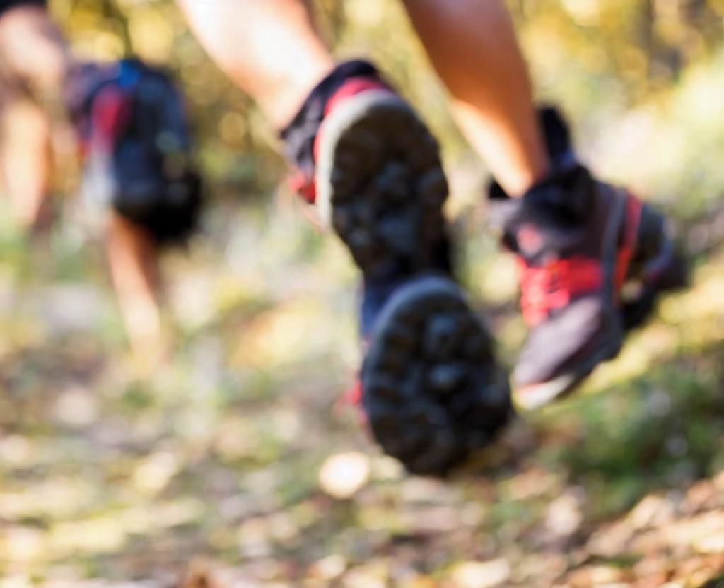 National Take a Hike Day – November 17