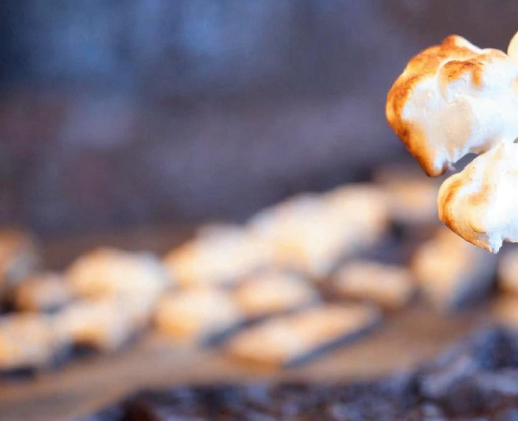 National Toasted Marshmallow Day | August 30