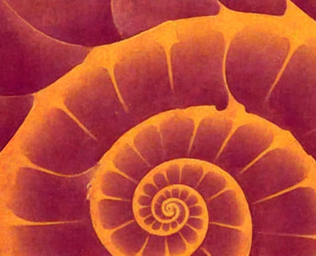 Fibonacci Day - November 23