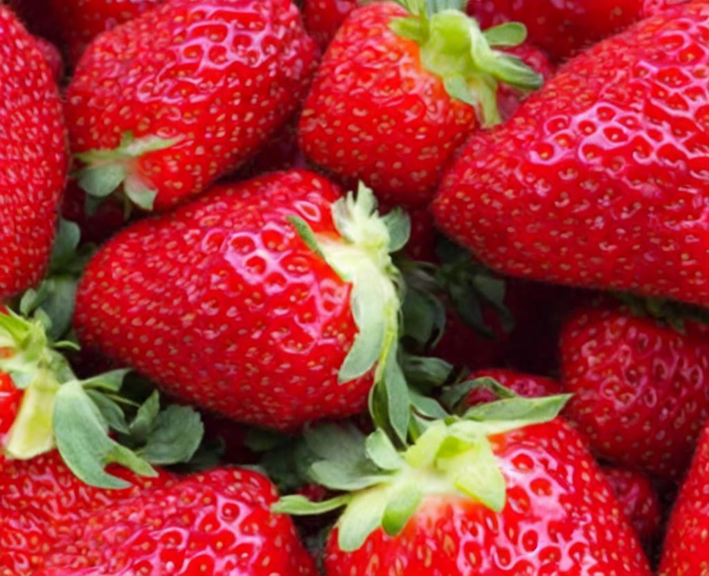 NATIONAL CALIFORNIA STRAWBERRY DAY – March 21