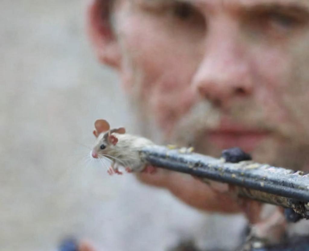 National Rat Catcher’s Day | July 22