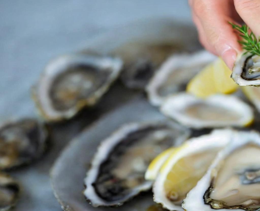 National Oyster Day | August 5