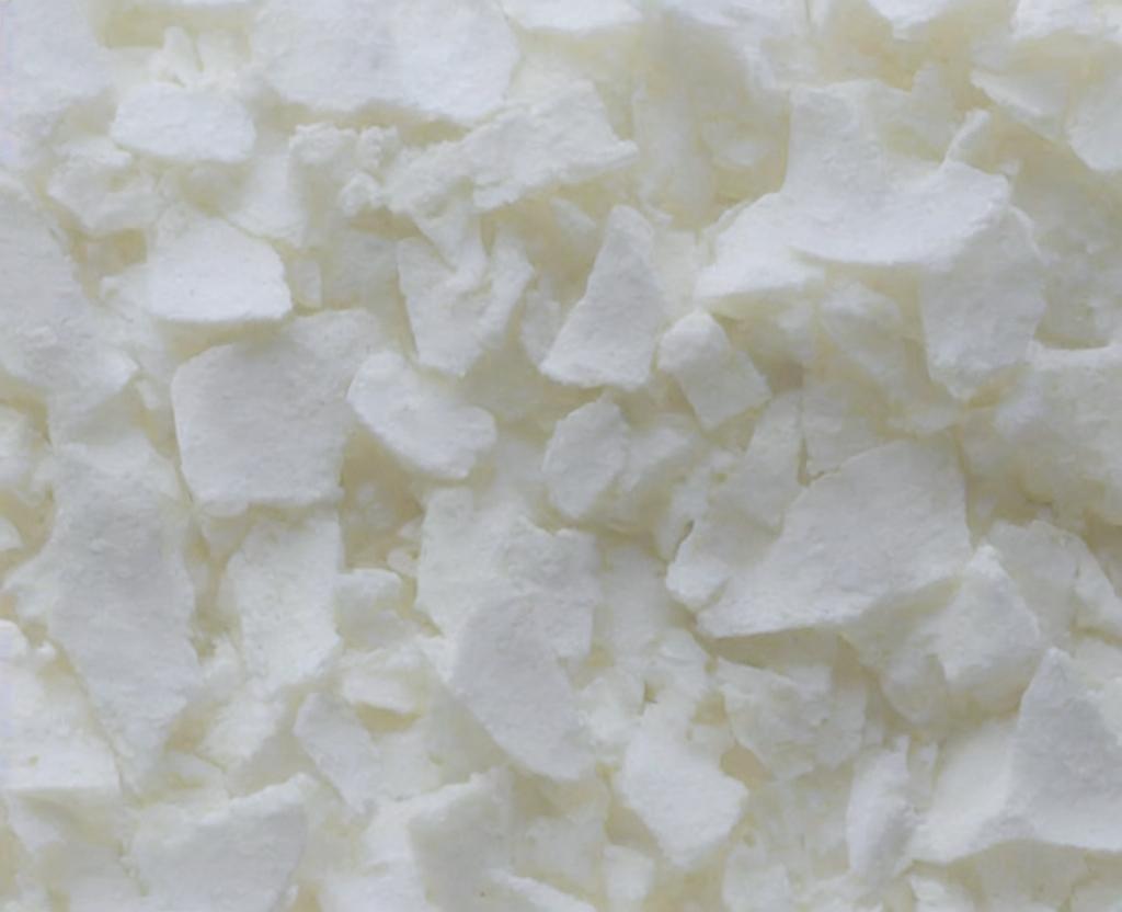 National Diatomaceous Earth Day | August 31