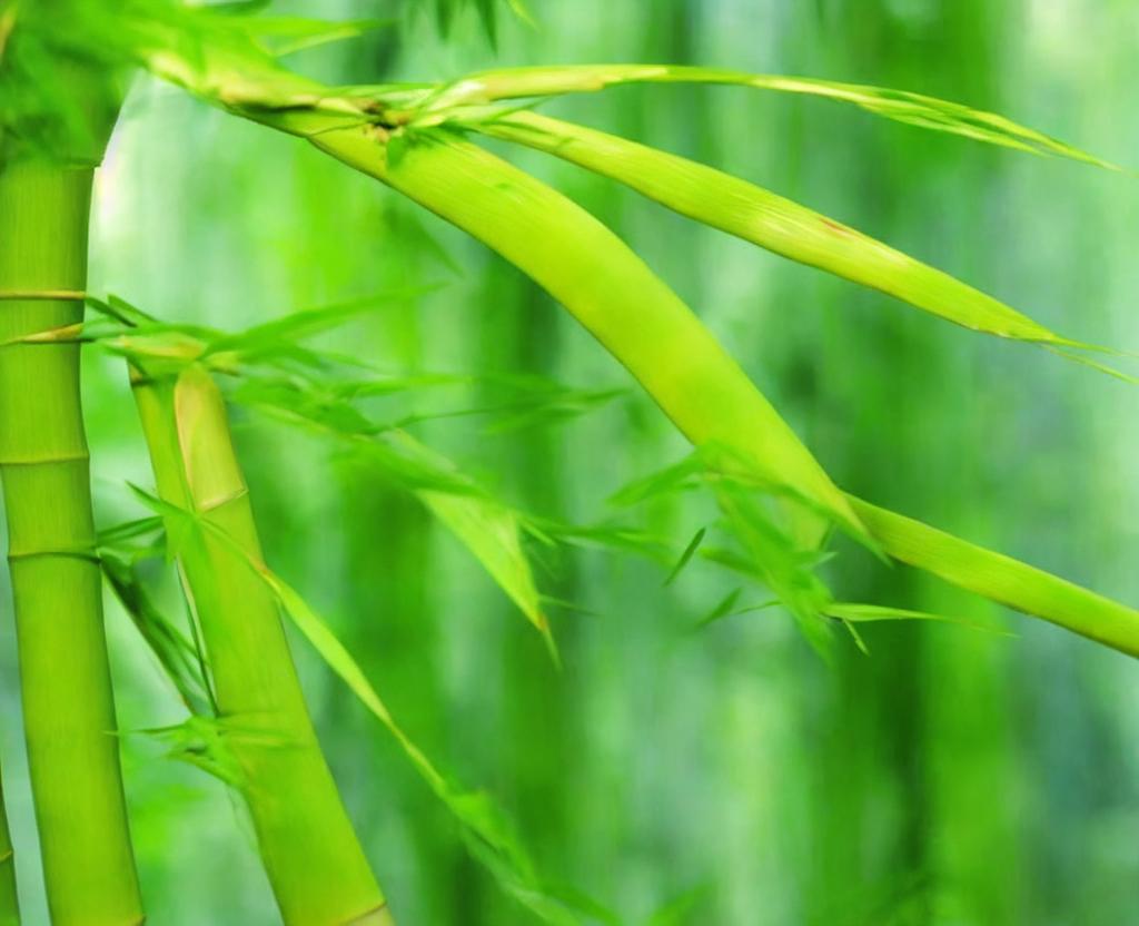 World Bamboo Day - September 18