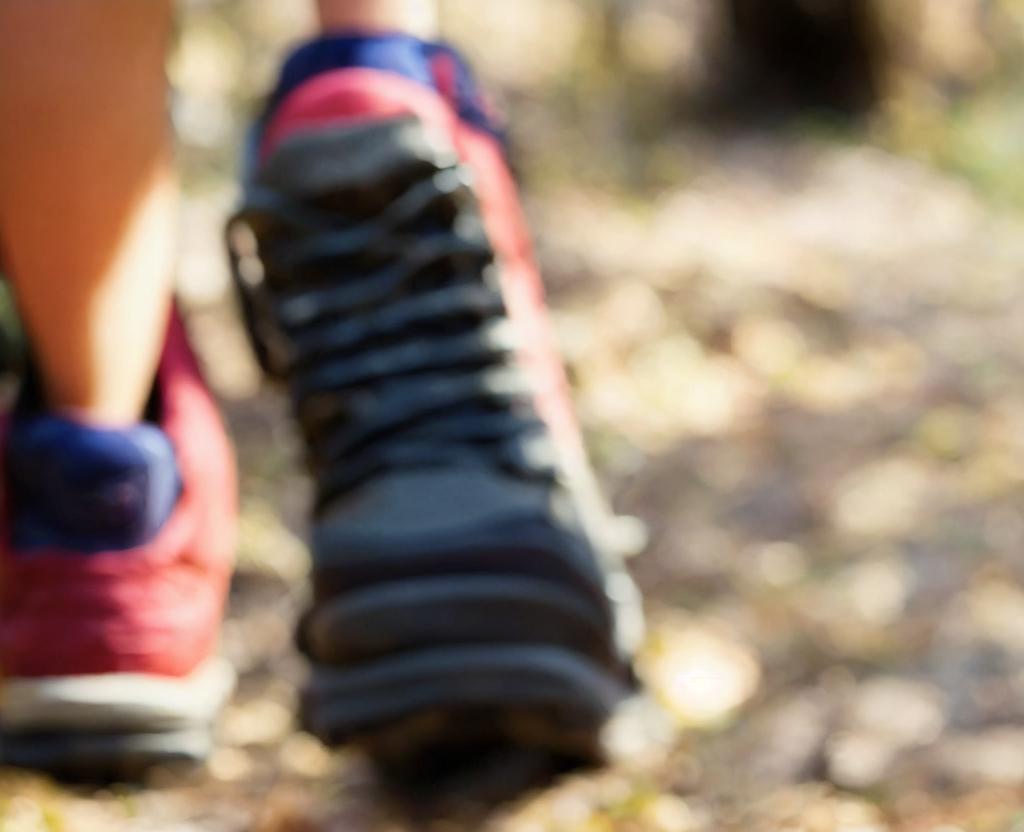National Take a Hike Day – November 17