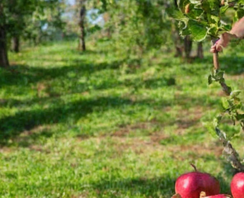 NATIONAL JOHNNY APPLESEED DAY - March 11