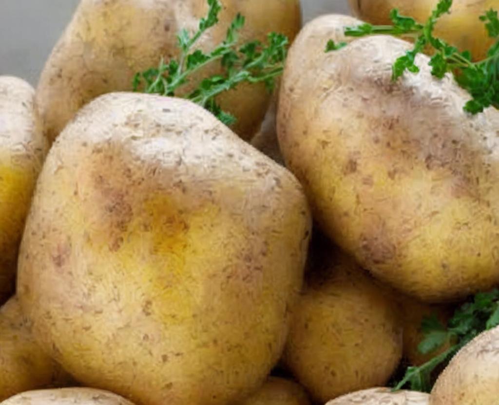 NATIONAL TATER DAY – March 31
