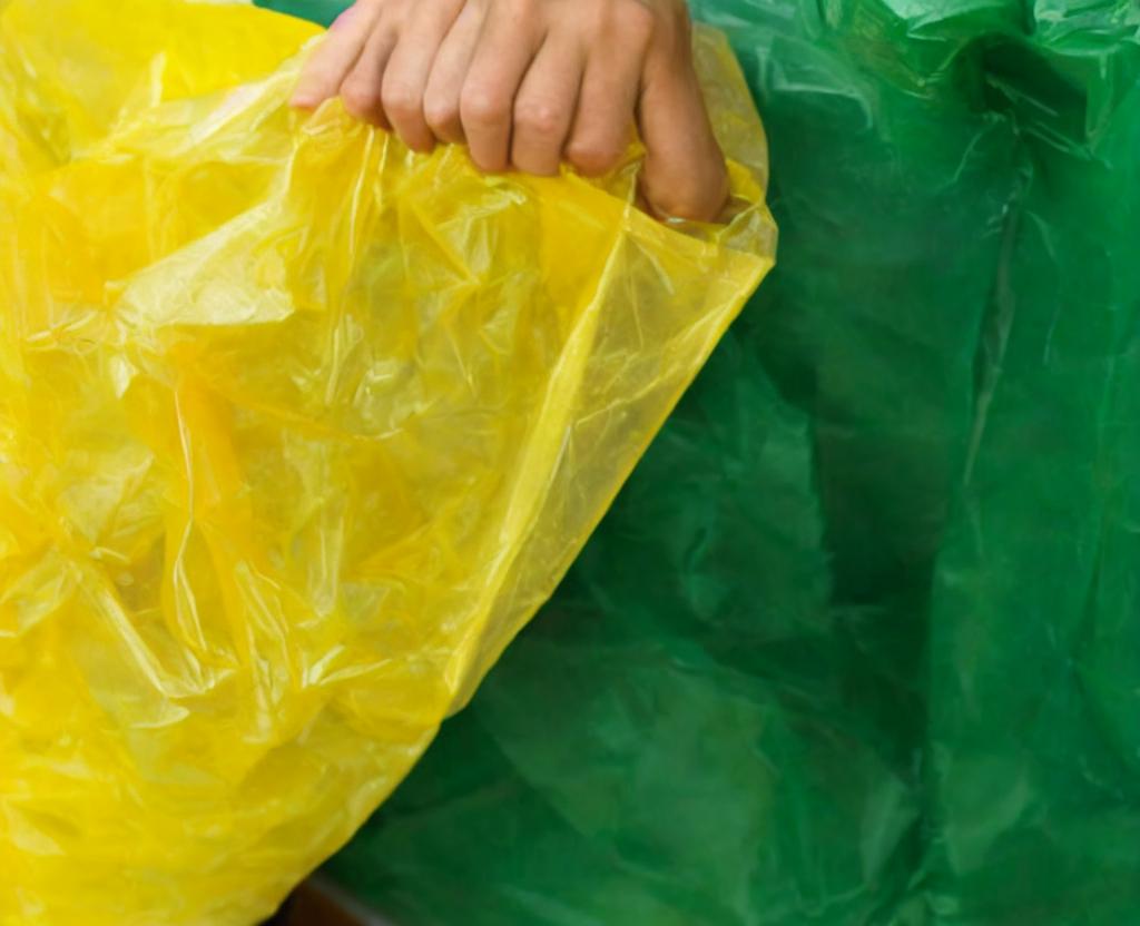 International Plastic Bag Free Day - July 3