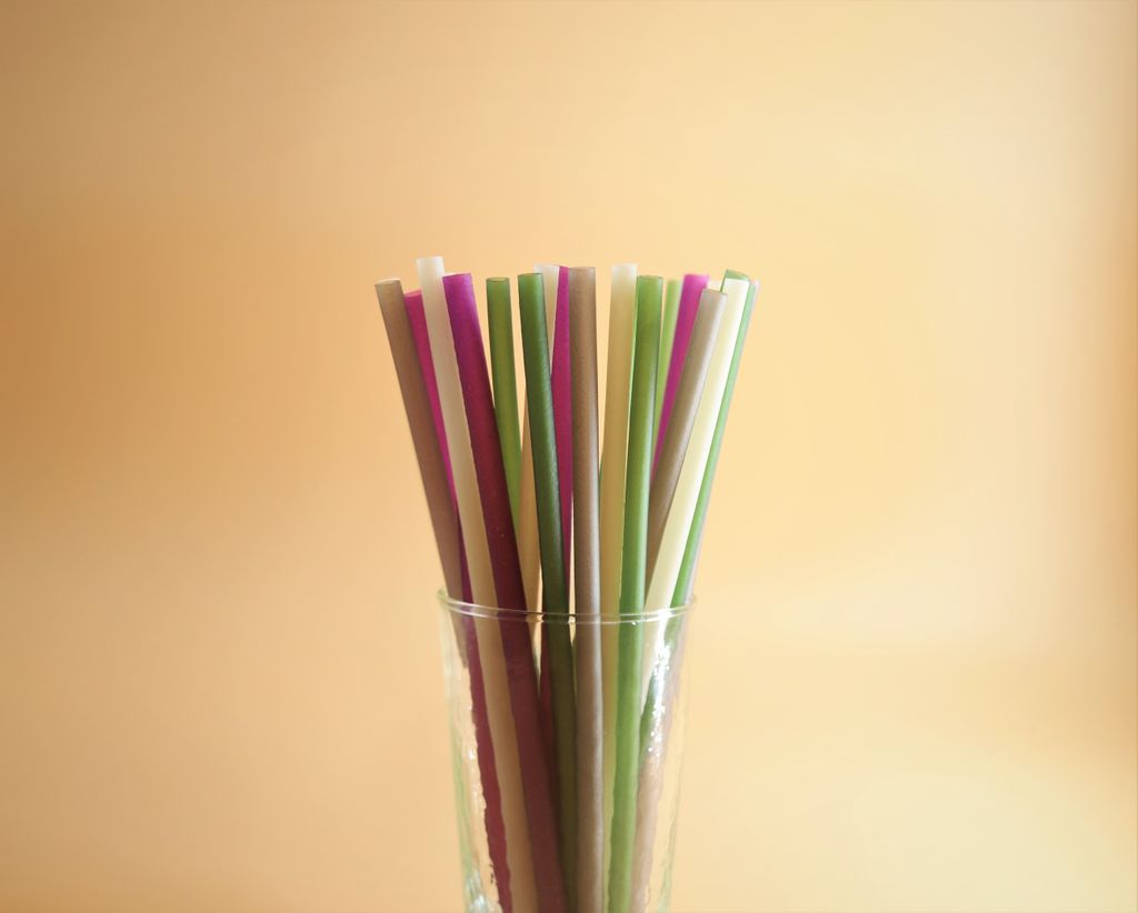 NATIONAL DRINKING STRAW DAY – January 3